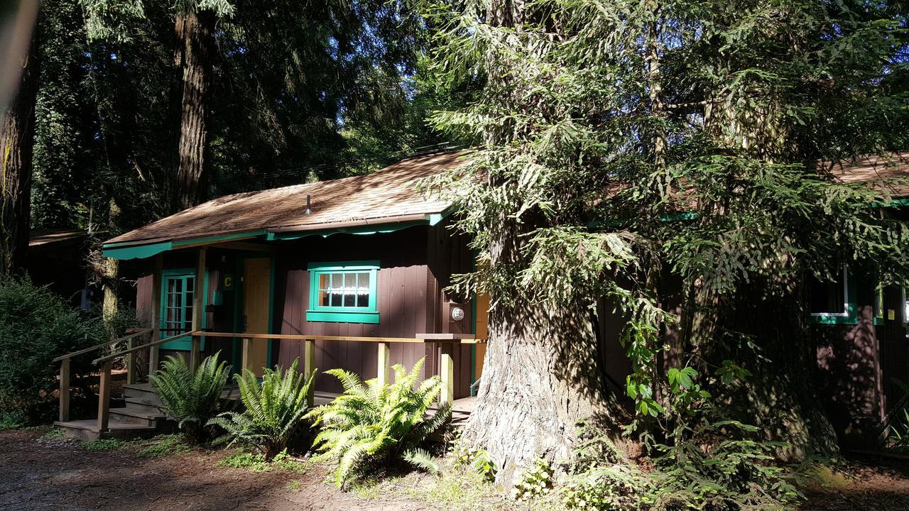 Emerald Forest Cabins Trinidad Esterno foto