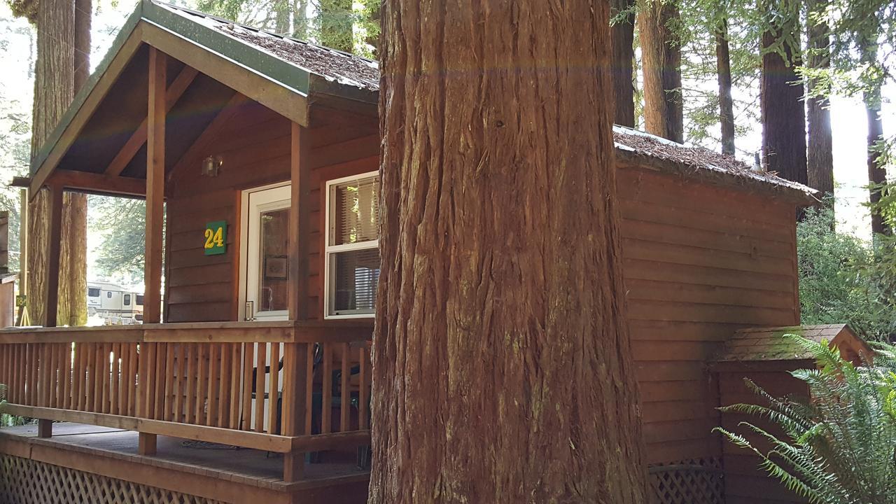 Emerald Forest Cabins Trinidad Esterno foto