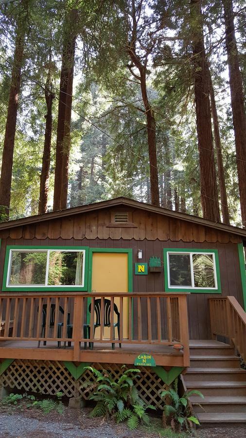 Emerald Forest Cabins Trinidad Camera foto