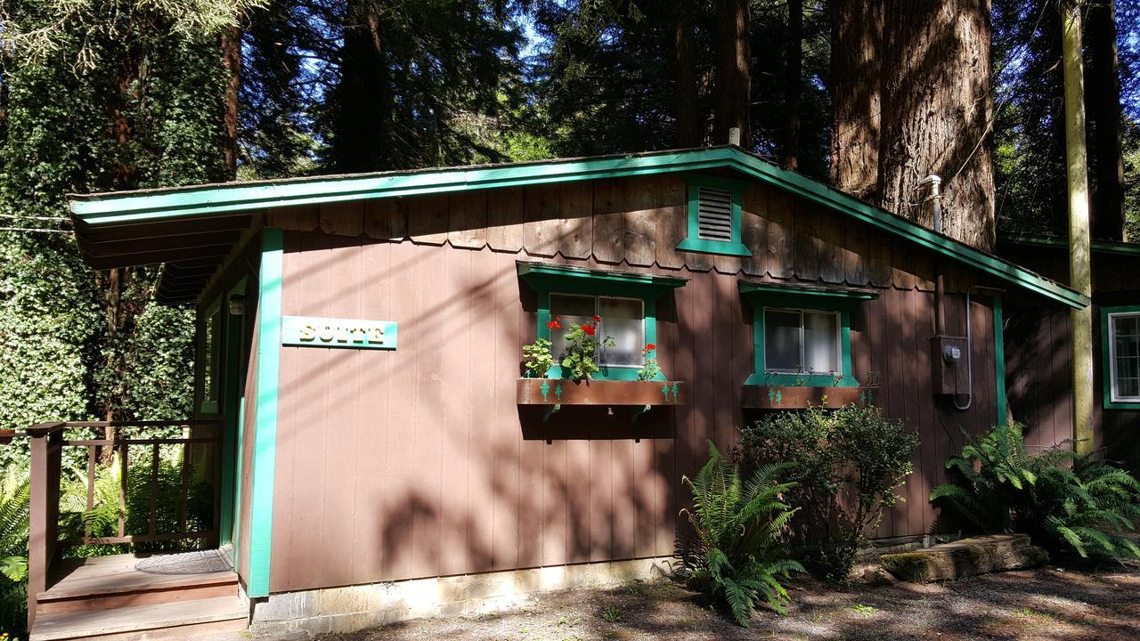 Emerald Forest Cabins Trinidad Camera foto