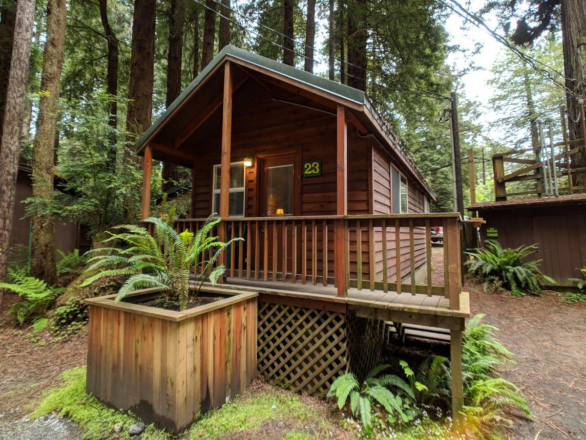 Emerald Forest Cabins Trinidad Esterno foto